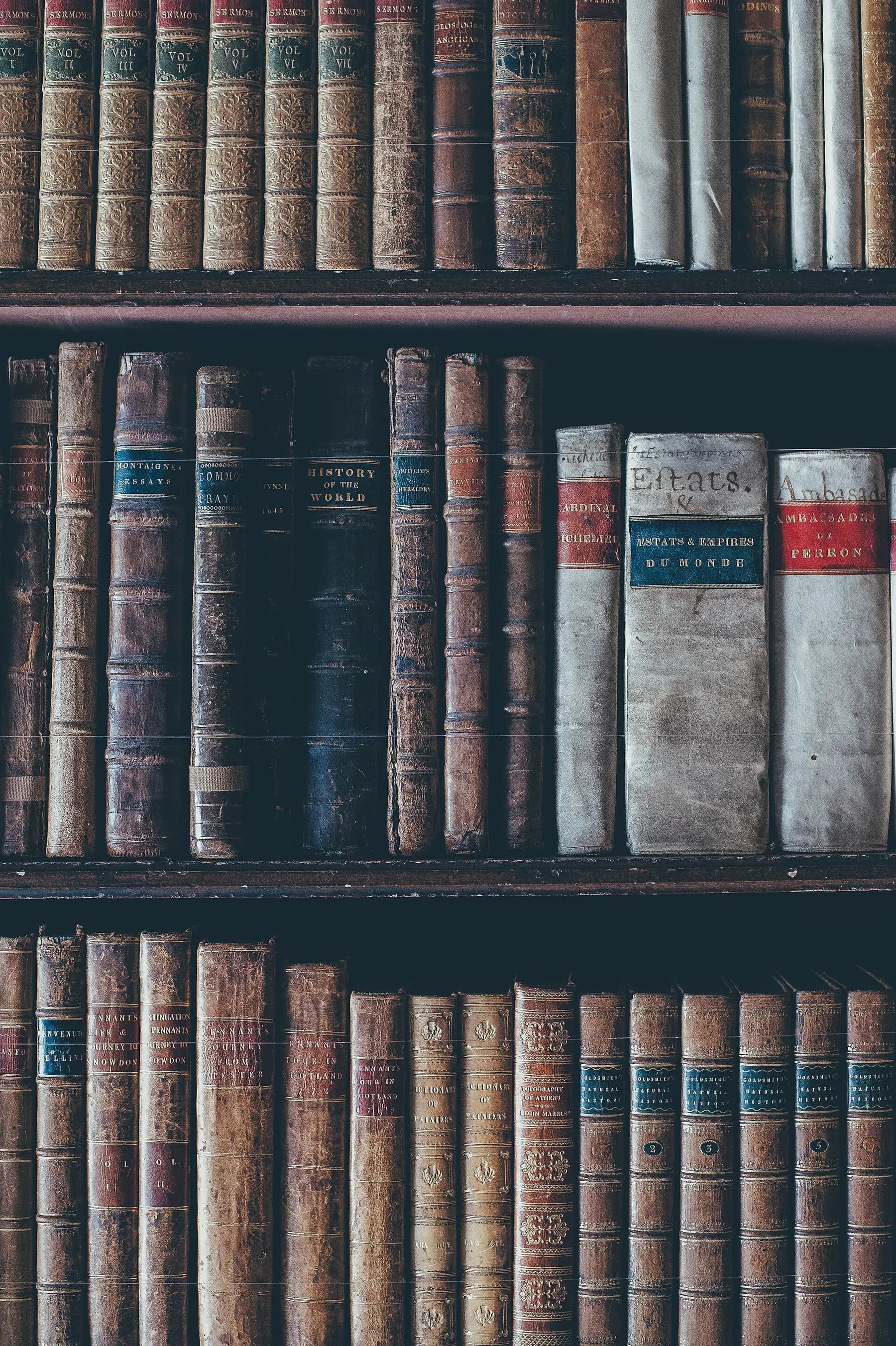 Rows of old leather-bound books with gilt lettering on their spines
